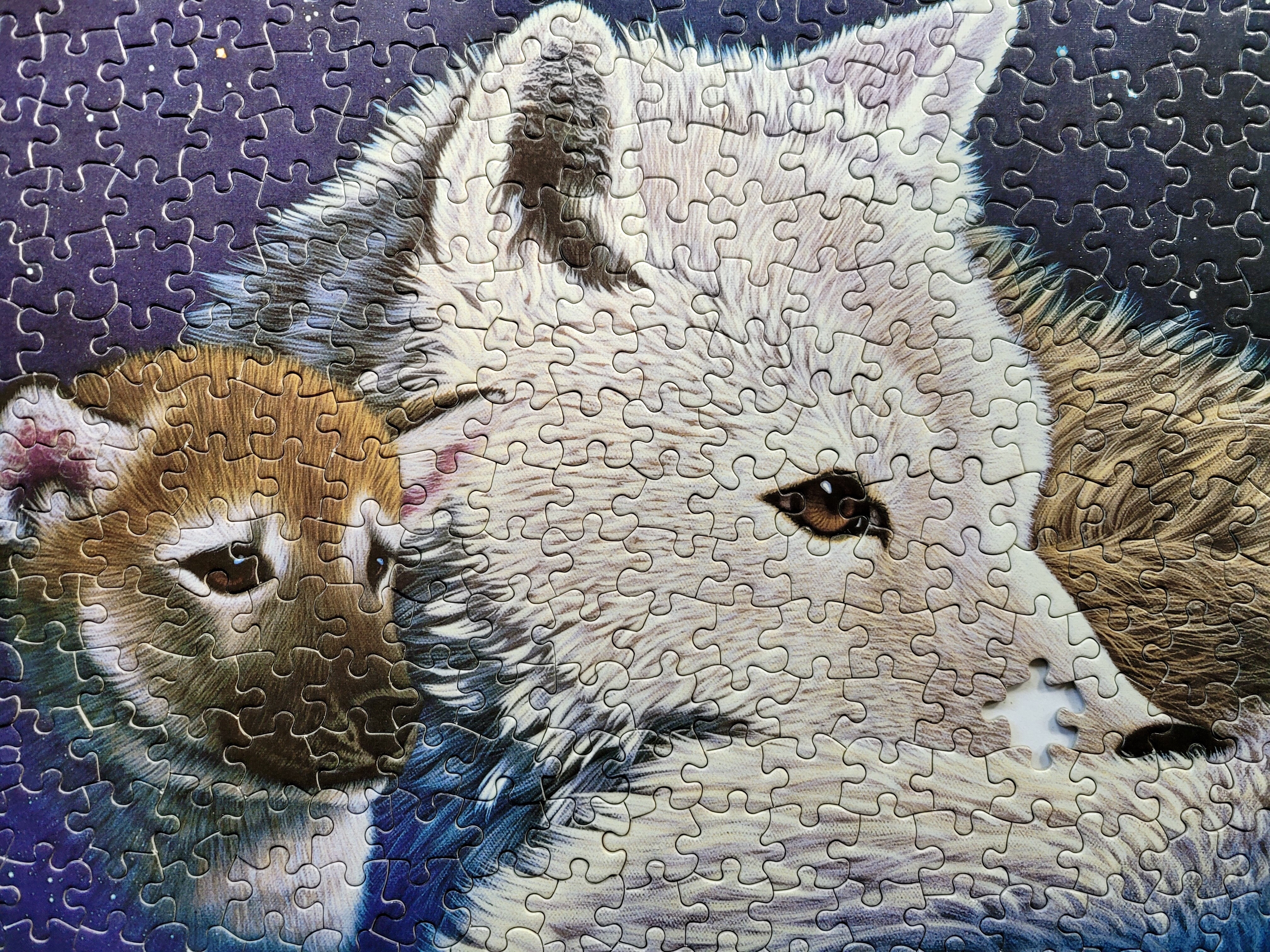 Mystery Schim Schimmel – thepuzzlesivedone